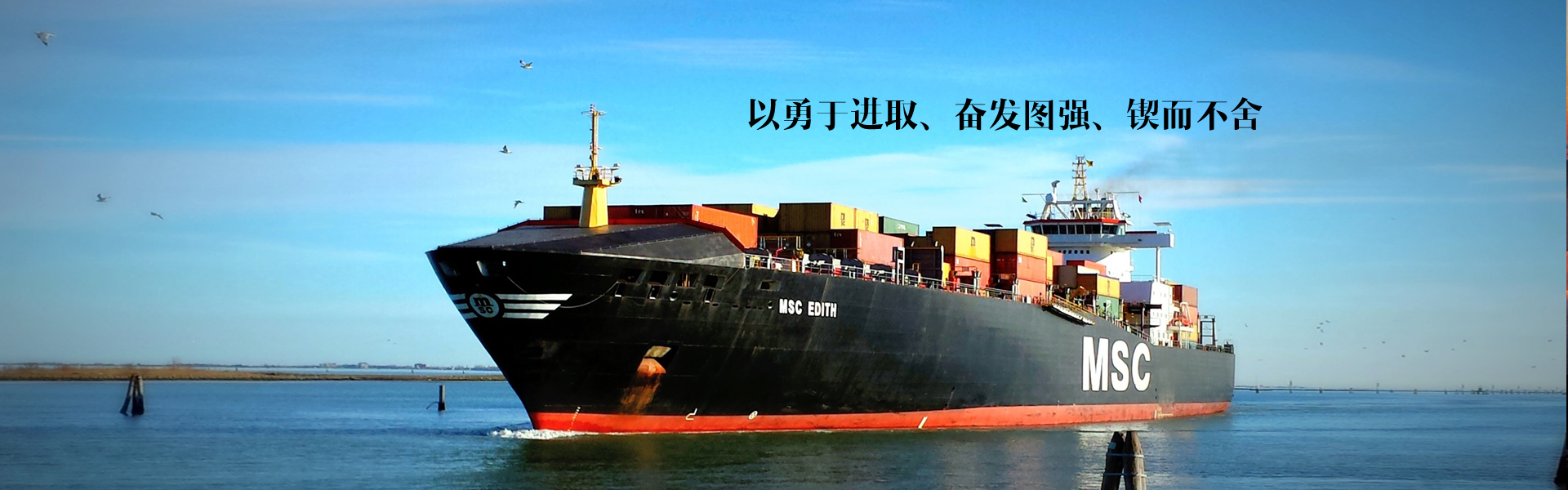 dbu聚氨酯催化劑對泡沫閉孔率、泡沫密度及壓縮強(qiáng)度的影響